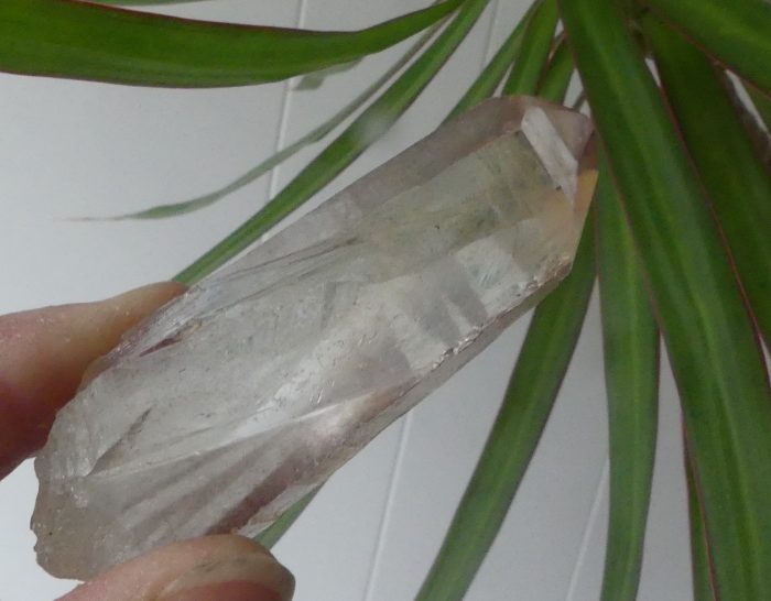 Scarlet Temple Lemurian (Rare) - Image 3