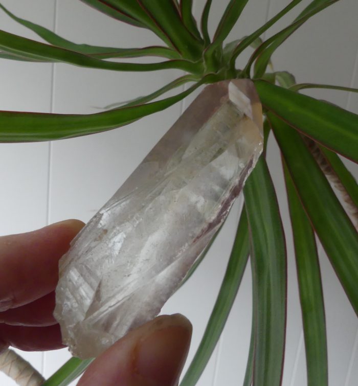 Scarlet Temple Lemurian (Rare)